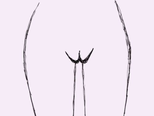 Vulva-Form Ms. Puffs: schon realistischer