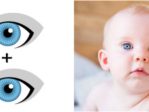 Beide Eltern haben blaue Augen