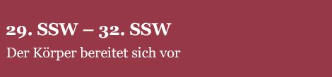 Schwangerschaftskalender - jetzt SSW berechnen! – 9monate.de