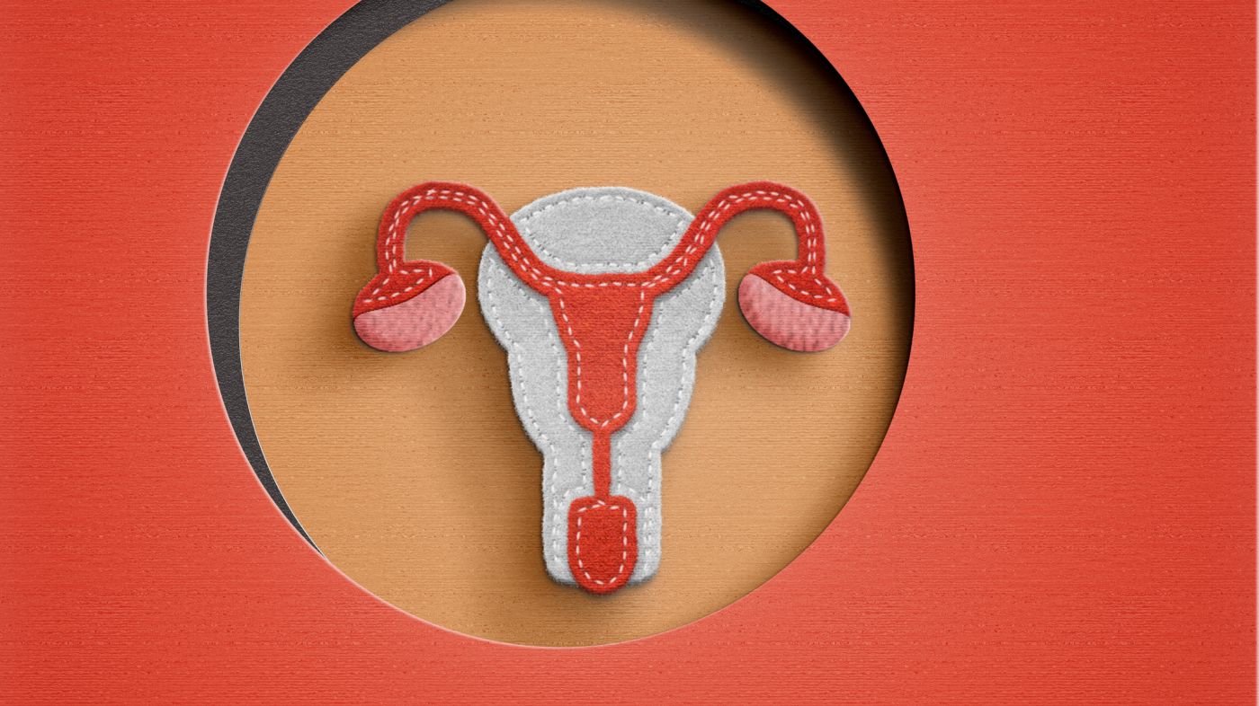 Sex am tag des positiven ovulationstest