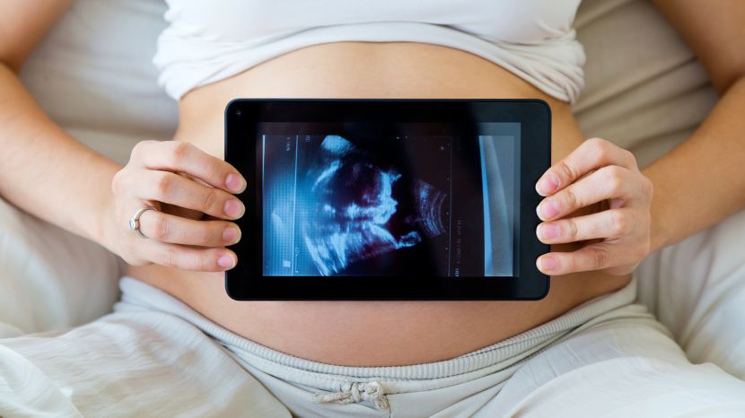 Embryonenspende: Bedingungen und Ablauf