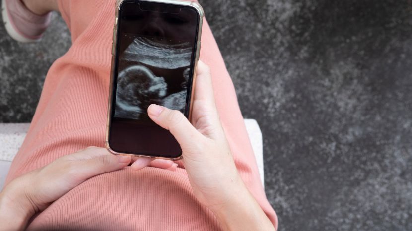 Entwicklung von Embryo und Fötus: Woche für Woche im Mutterleib